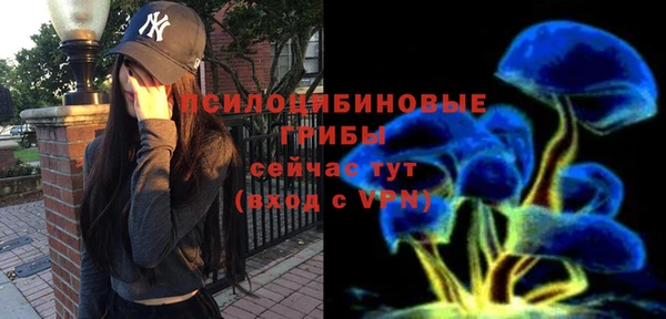 a pvp Осинники