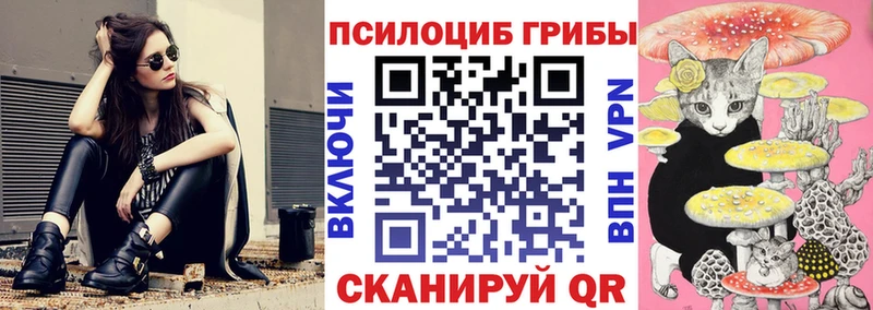 маркетплейс состав  Ахтубинск  Псилоцибиновые грибы мухоморы 