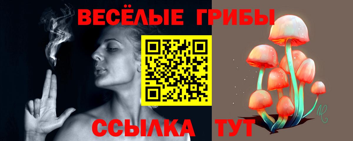 Псилоцибиновые грибы прущие грибы  Ахтубинск  Галлюциногенные грибы MAGIC MUSHROOMS 