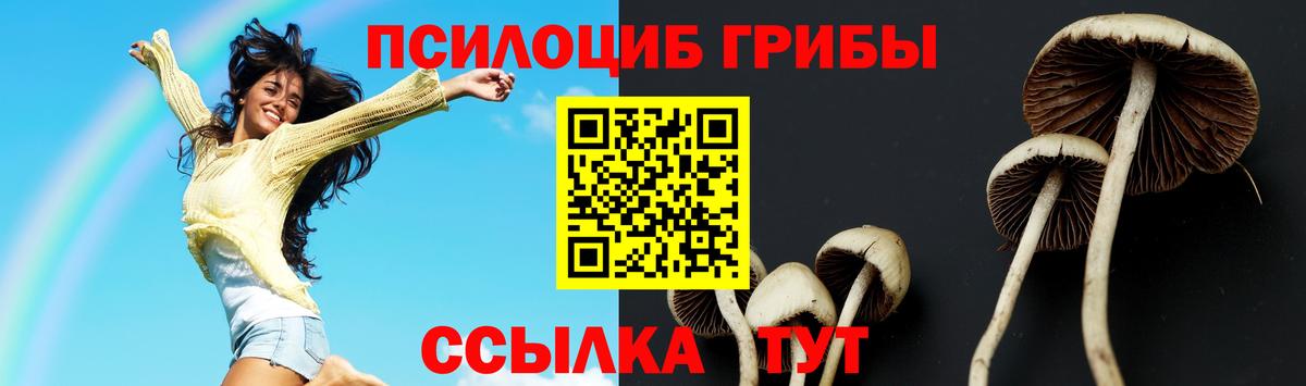 Псилоцибиновые грибы мицелий Ахтубинск