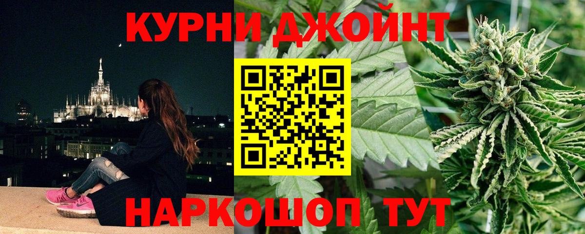 Канабис конопля Ахтубинск